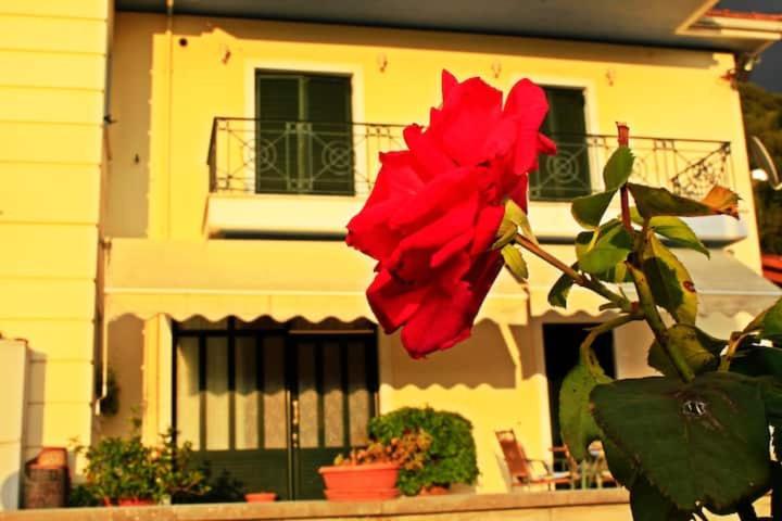 Guesthouse Bizani Neo Mpizani Екстериор снимка